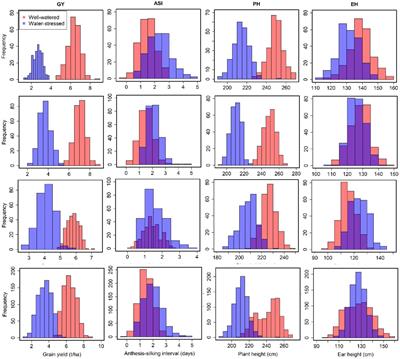 Genomic loci associated with grain yield under well-watered and water-stressed conditions in multiple bi-parental maize populations